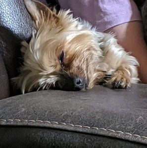 Meet your Posher, Wendy